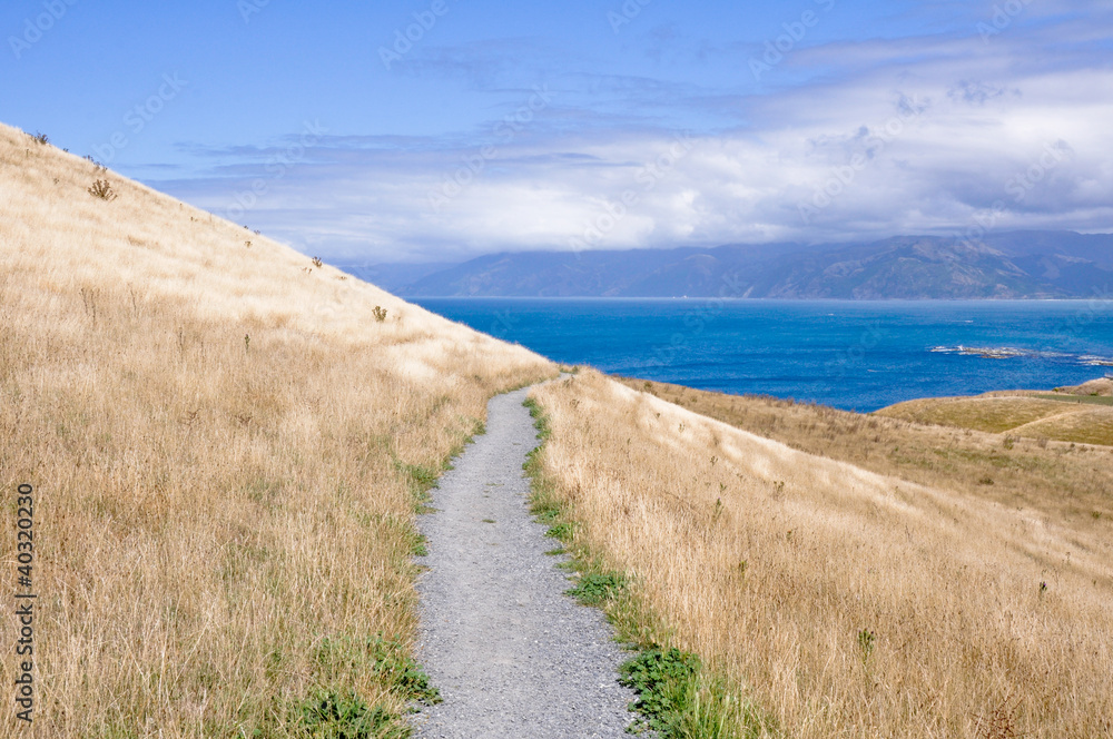 Kaikoura Peninsula Walkway, New Zealand