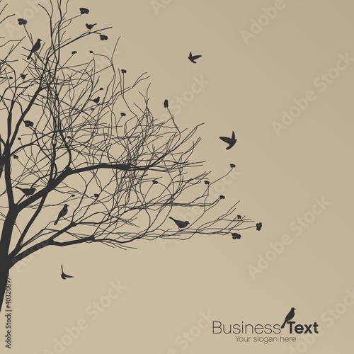 fond vecteur, arbre et oiseaux photo