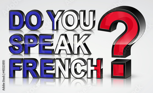Do You Speak French?