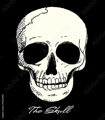The Skull