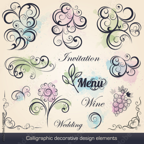 calligraphic decorative design elements collection