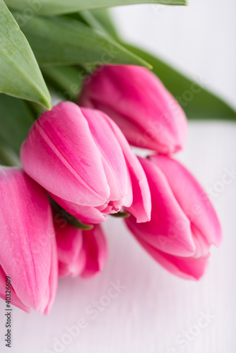 Fototapeta Naklejka Na Ścianę i Meble -  Bunch of Dark Pink Tulips