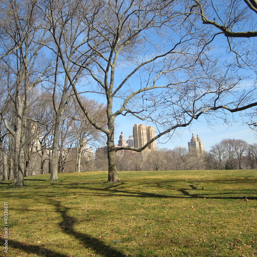 central park nyc photo