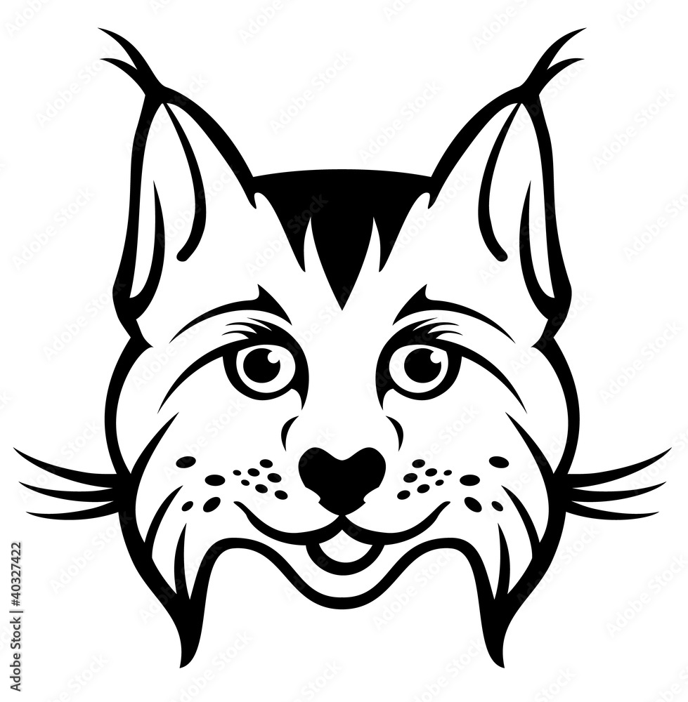Fototapeta premium Bobcat - Lynx head