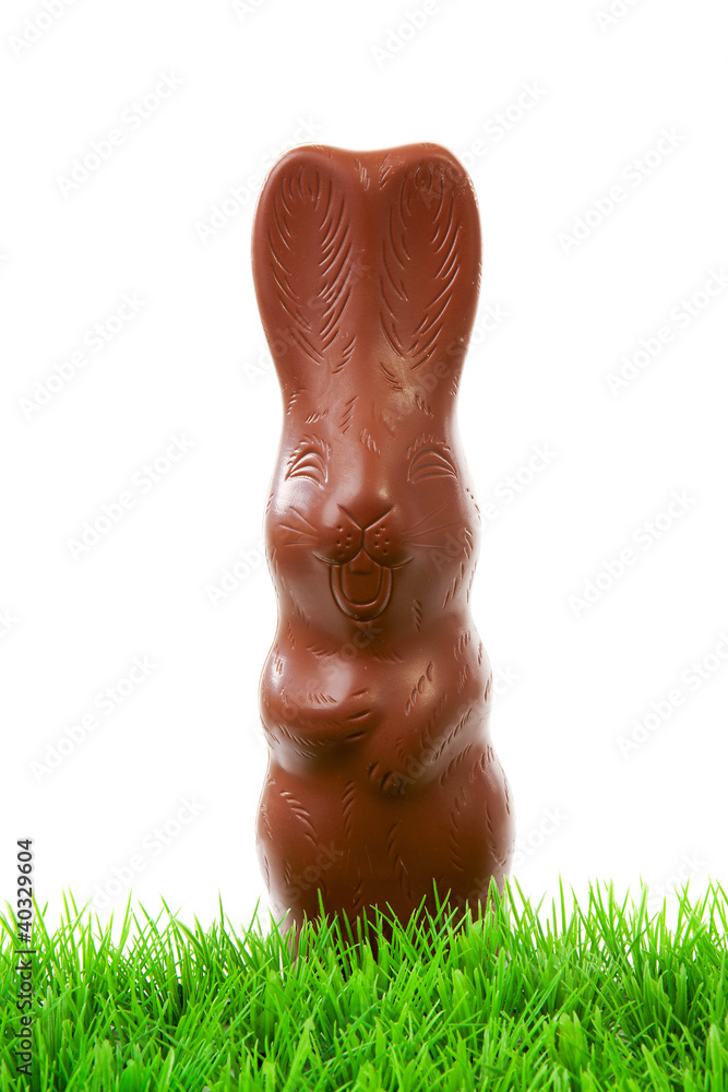 Naklejka premium Chocolate easter bunny on grass