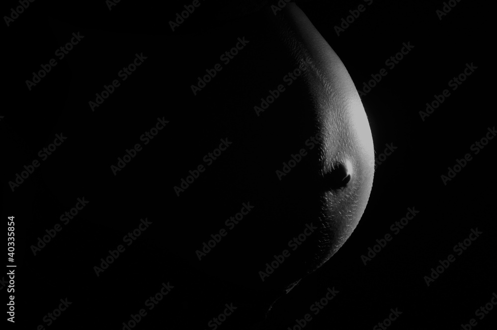 Fototapeta premium Moon