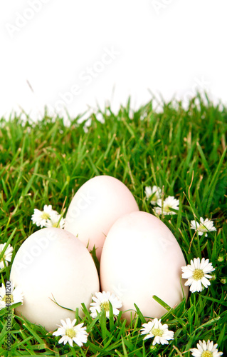 Eggs in the grass with flower