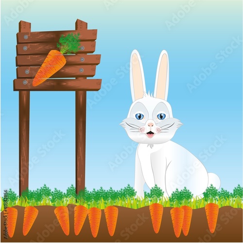 rabbit in harvest of carrots