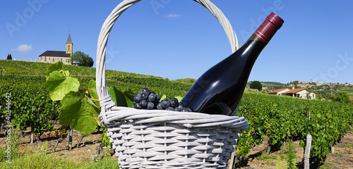 Tableau sur toile French vineyads