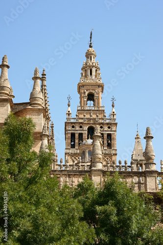 Seville Cathedral detail