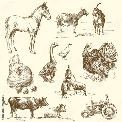 farm - hand drawn collection
