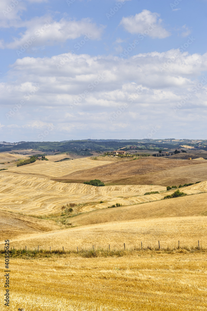 Farm in Val d'Orcia (Tuscany) Farm in Val d'Orcia (Tuscany)