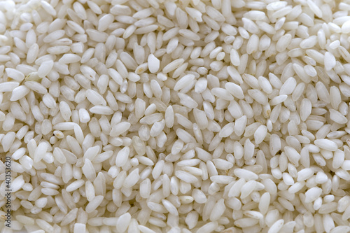 carnaroli rice