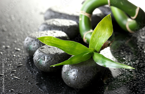Spa stones with drops and green bamboo on grey background