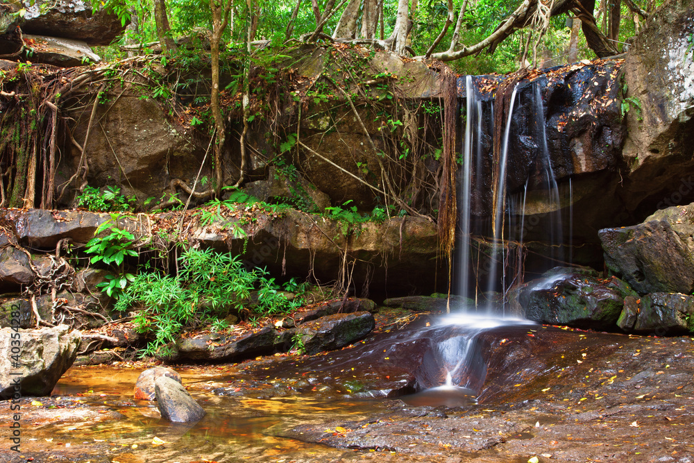 Fototapeta premium Waterfall in the rainforest