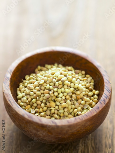 close up of a bowl of coriander seeds