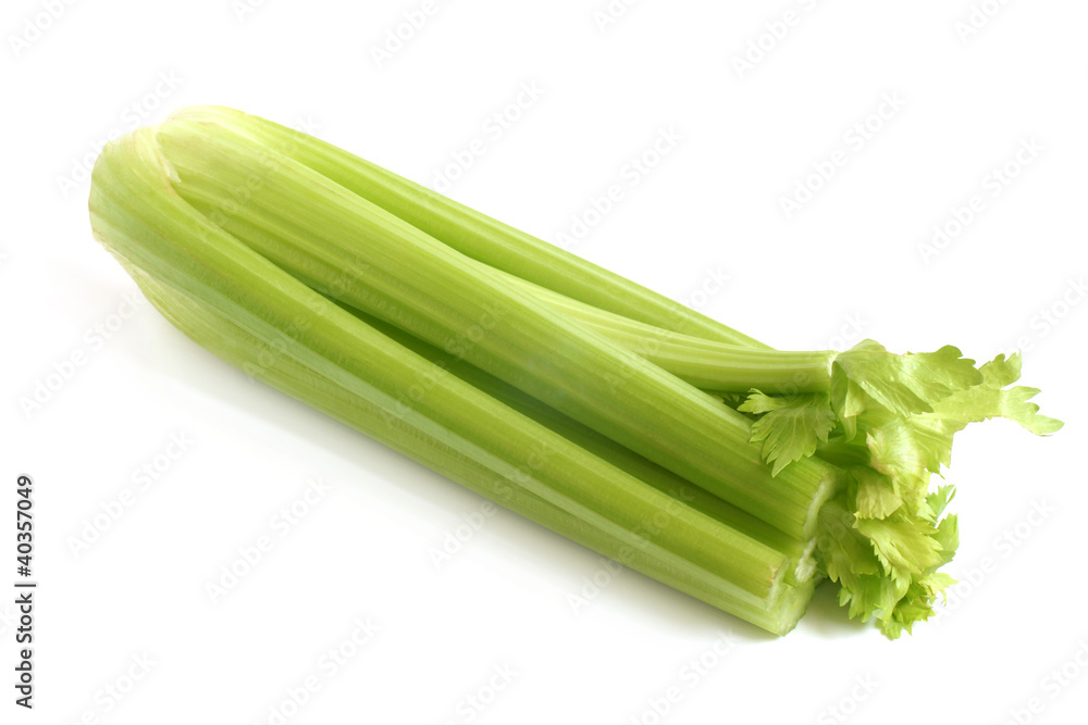 Fresh green celery Fresh green celery