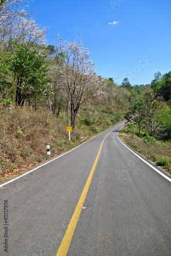 Wallpaper Mural Empty countryside road in Thailand Torontodigital.ca