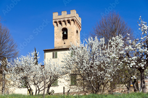 Toscana: Pieve di S. Pietro a Mercato a Montespertoli 2 photo