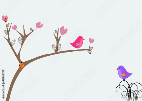 fondo para san valentín