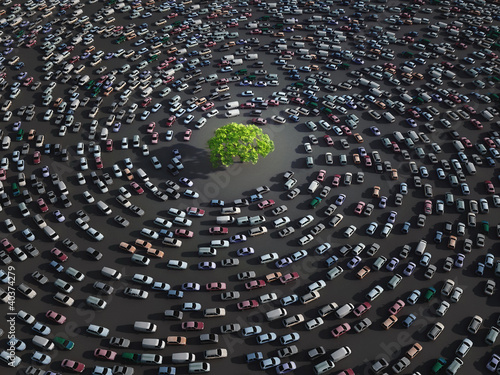 green tree surrounded by cars