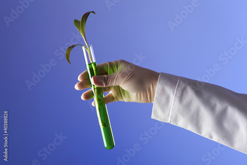 Green plants in biology laborotary photo