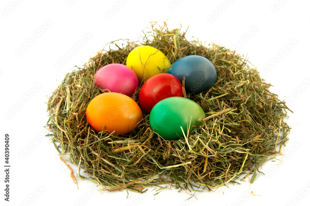 Colorful nest easter eggs Colorful nest easter eggs