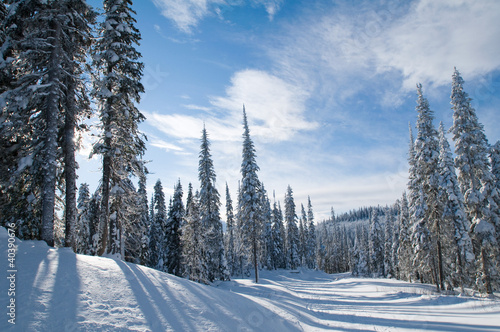 Sun Peaks