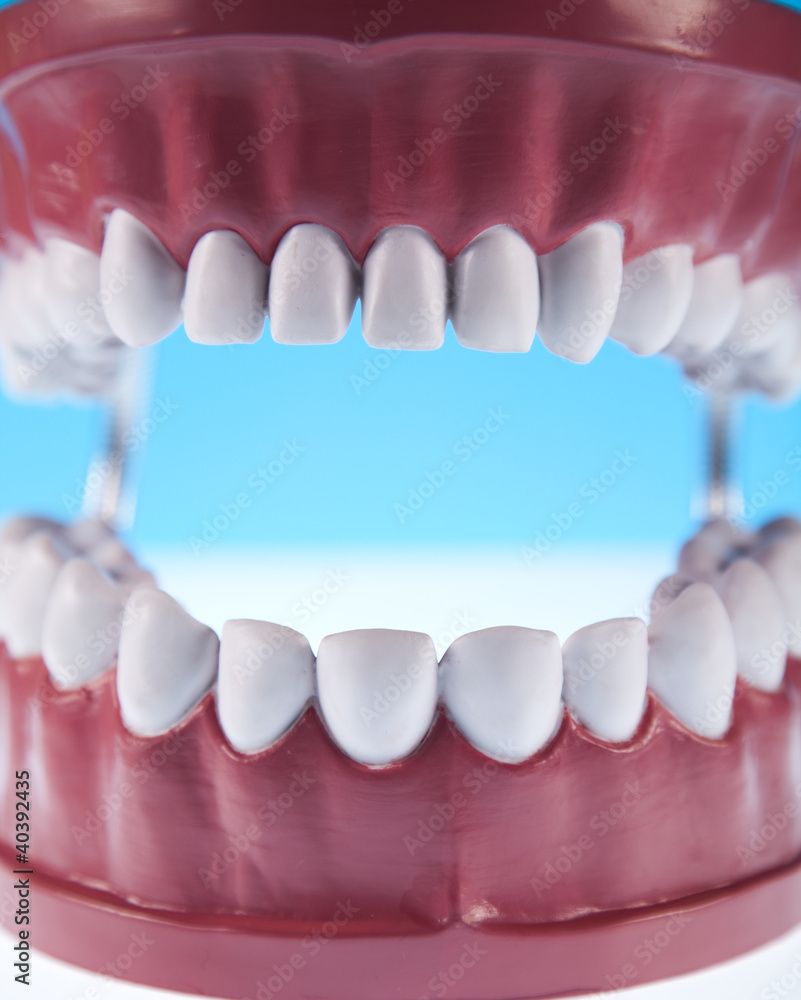 Obraz premium Teeth