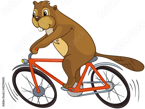 Beaver CREES. Look for Funny Beaver by Keyword "CREES".