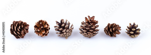 Pine cones isolated on white