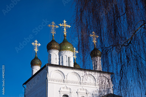 Domes of Sretensky Cathedral at Gorokhovets photo