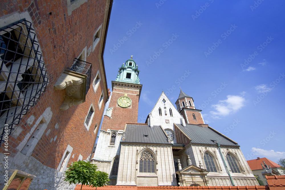 Fototapeta premium Wawel-Katedra na Wawelu-Kraków