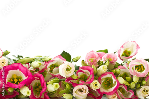 bouquet of pink flowers lisianthus