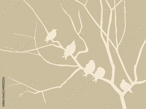 birds silhouette on brown background