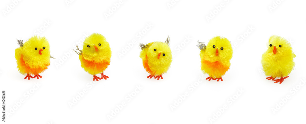 Five cute easter yellow chicks for seasonal decoration.