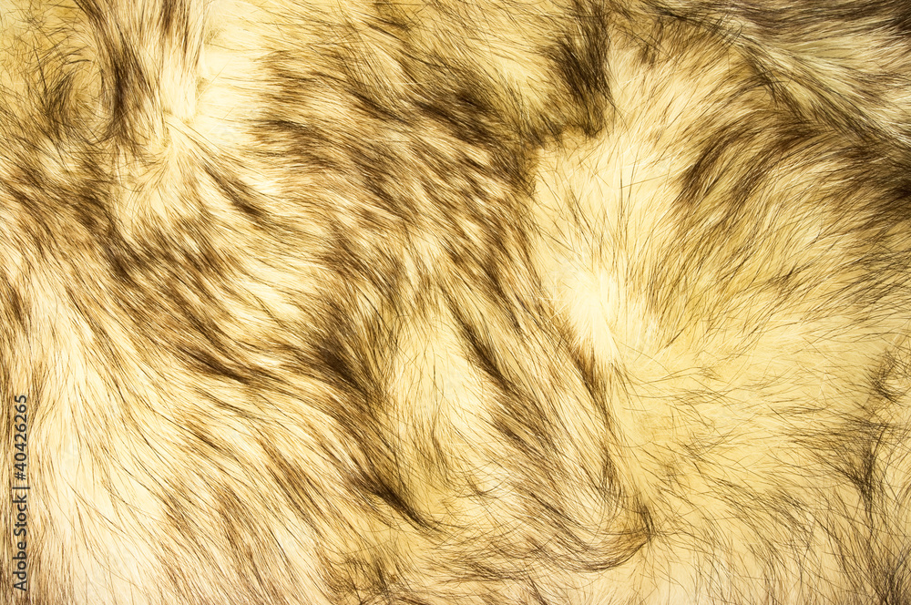 Fox fur texture Fox fur texture