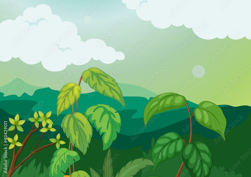 Nature background Nature background