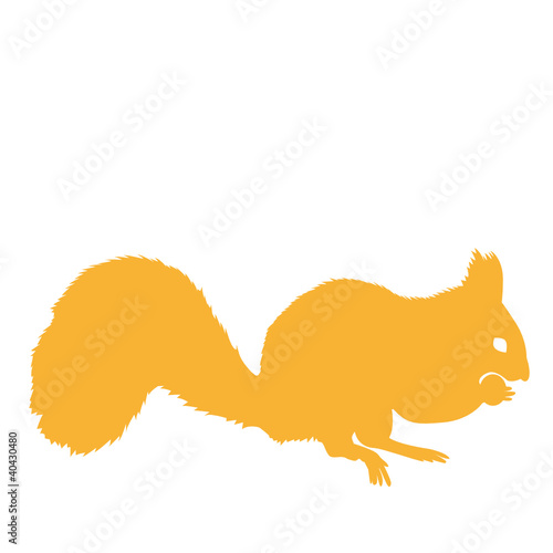 eichhörnchen orange