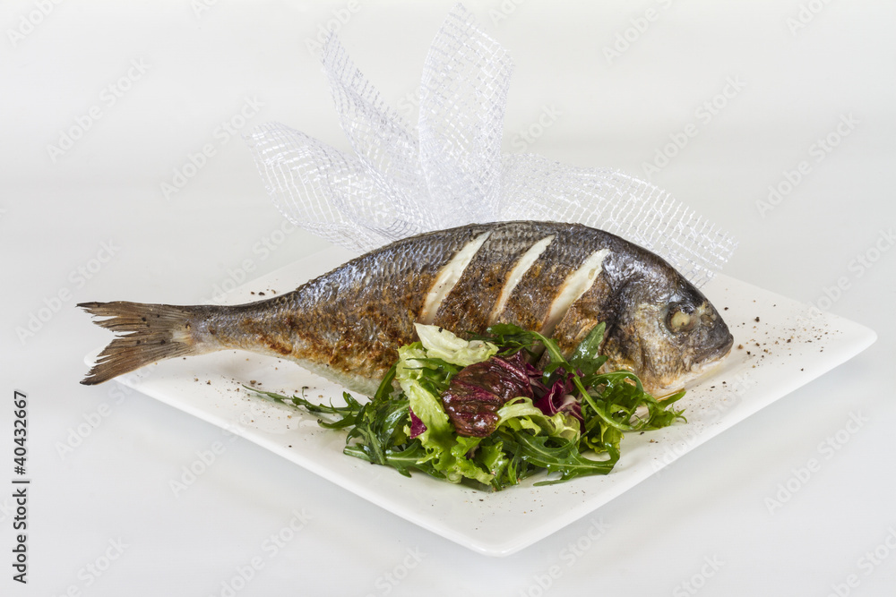 Dorada fish with salad on the white plate. Studio shot Dorada fish with salad on the white plate. Studio shot