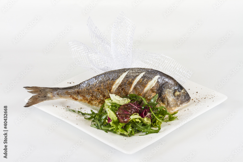 Dorada fish with salad on the white plate. Studio shot Dorada fish with salad on the white plate. Studio shot