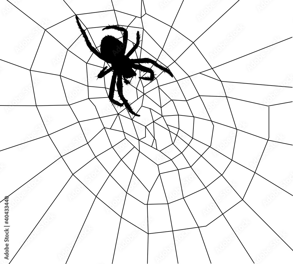 Obraz premium illustration with black spider in web