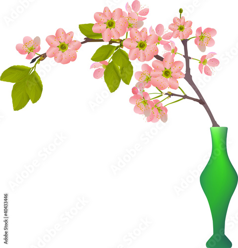 cherry tree blossom branch in vase