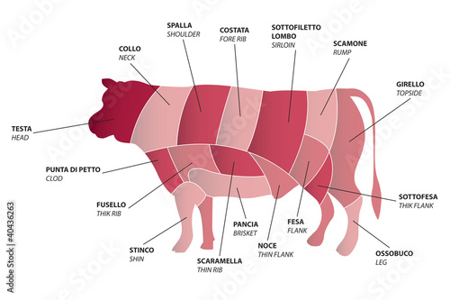 Beef parts