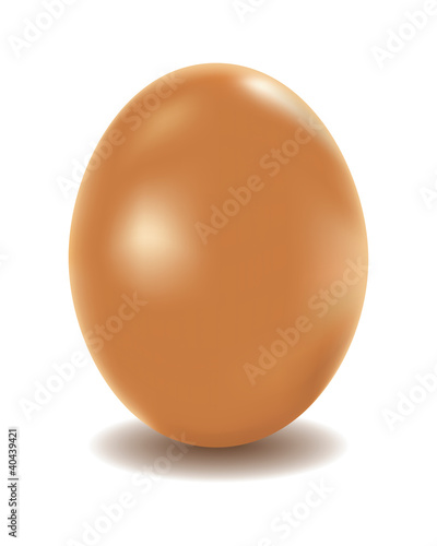 Chicken egg