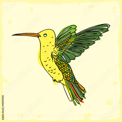 hummingbird