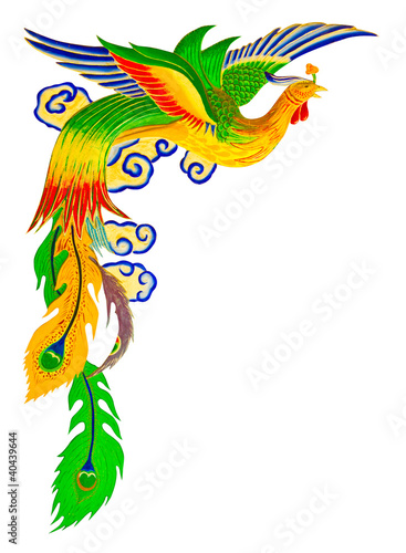 chinese peacock with clipping path
