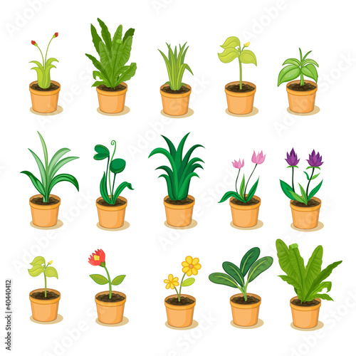 plant collection