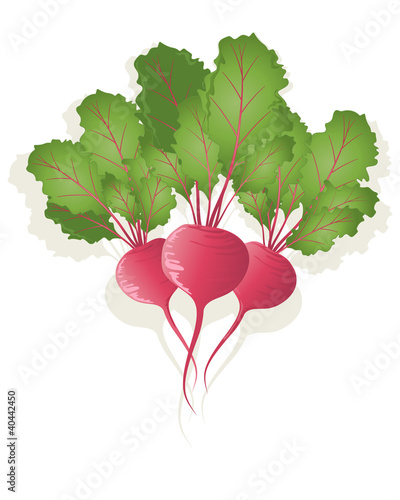 beetroot