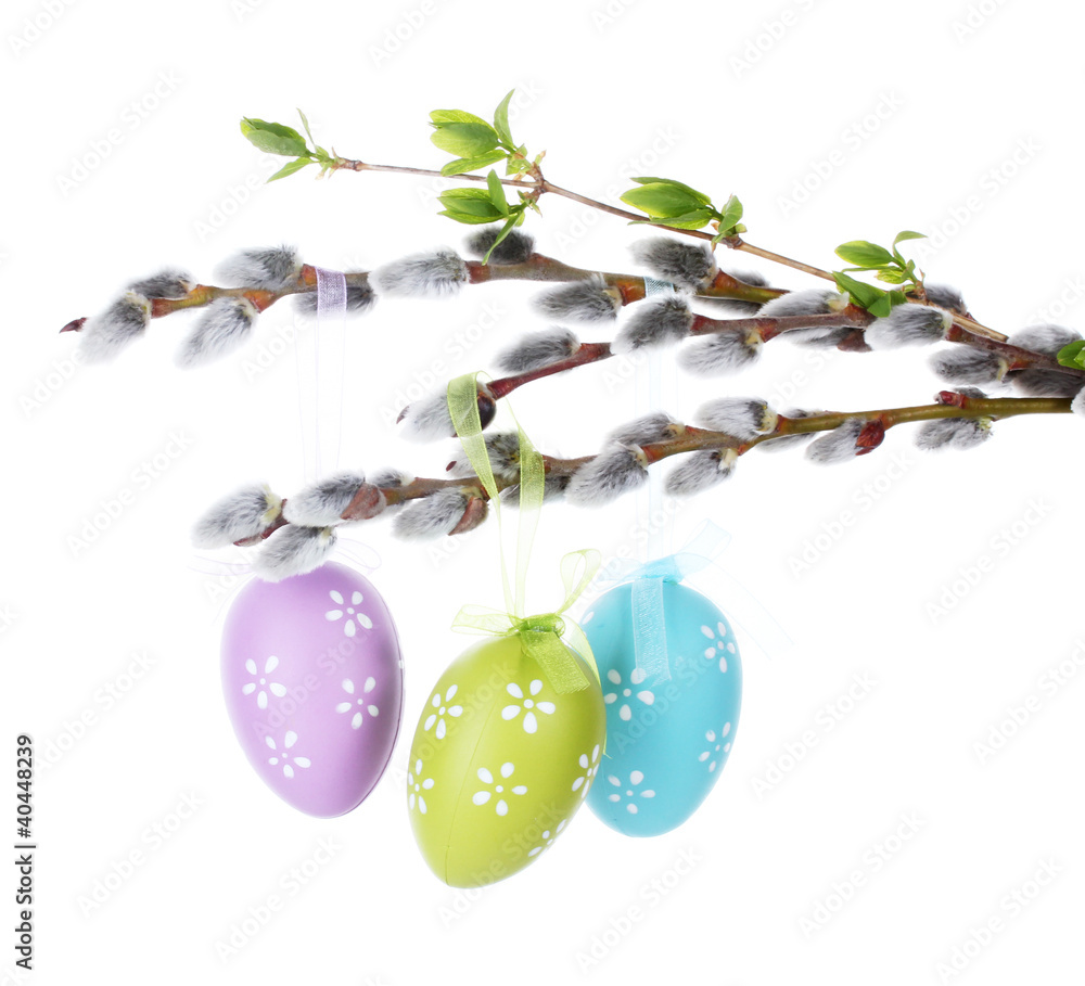 Fototapeta premium pussy-willow twigs with Easter eggs isolated on white